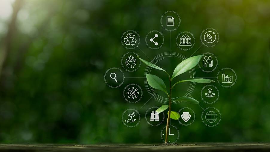 ESG and Sustainability Reporting Assurance